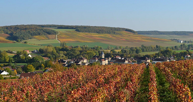 Cours d'anglais dans l'industrie du vin